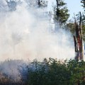 Požar iz Severne Makedonije proširio se do Bujanovca, MUP šalje helikoptere