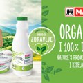 Domaći organski jogurt i kiselo mleko stigli u Maxi supermarkete