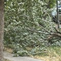 Posledice kratke oluje u Novom Sadu: Srušena stabla, urušen zid, nakrivljene bandere...