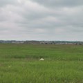 Kragujevac: Deponija Jovanovac produžava rad i subotom