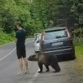 ВИДЕО: Мали медвед пришао на центиметар од младића у Румунији, а да он није ни приметио