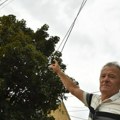 Drama u Kikindi: Vetar spojio strujne kablove i grane, varnice umalo zapalile biciklistu Boška: "Nisam znao gde ću"