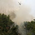 Požar zahvatio ostrvo Evija: Vatrogasci i avioni se bore sa vatrenom stihijom