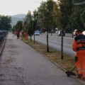 Čišćenje, košenje i orezivanje na više lokacija u Nišu