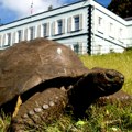 Najstarija kopnena životinja ima skoro 200 godina