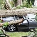 3 Načina da naplatite štetu ako vam drvo padne na auto: Ovo obavezno treba da uradite, a evo i koliko možete da dobijete
