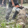 Stablo ubilo čoveka: Užas kod Goražda, muškarac stradao prilikom seče šume