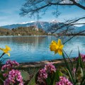 Nije samo Bled: Izabrana najlepša jezera za odmor u Evropi, čak četiri u bivšoj SFRJ