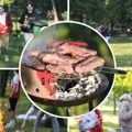 Prvomajski uranak i neverovatno veselje: Roštilj i muzika na Košutnjaku, neki došli još sinoć da zauzmu mesto!