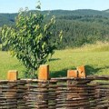 Poslednji dan maja u znaku sunca