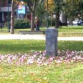 Vandalizam u parku: Sa postamenta uklonjena bista „Srpkinje“