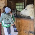 PRVOMAJSKI DAN U ZOO PLANETU: Piknik porodice i boravak u prirodi uz životinje