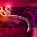 SZO proglasila epidemiju smrtonosne bolesti! Pogođene dve države u kojima živi skoro 160 miliona ljudi! Izdato naređenje o…