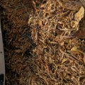 Policija pronašla više od 530 kilograma nelegalnog rezanog duvana, uhapšen Knjaževčanin (68)