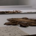 Jevremovac: Bašta koja krije unikatno, presovano Pančićevo blago