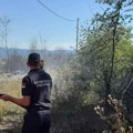 Ugašen požar u Šumaricama, gorelo pet hektara