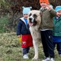 Porodična idila u Titelu! Bogdana i Veljko sa sinovima u šetnju, pas im pravi društvo, a tata poneo najmlađeg!
