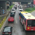 Sa psom u rukama prelazi: Auto-put? Uznemirujući snimak iz Beograda osvanuo na društvenim mrežama, ljudi u šoku (video)