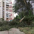 Nevreme izazvalo probleme širom Srbije, dežurne ekipe rade na sanaciji (VIDEO)