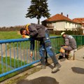 Renoviranje ograde mosta preko Sušičkog potoka (FOTO)