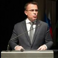 Ministar Milićević na manifestaciji u Sloveniji poručio da kultura povezuje Srbiju sa dijasporom
