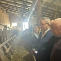 Glamočić: Merama podrške država vraća život na selo