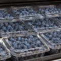 Nikada ne kupujte bobičasto voće ako vidite ovo na pakovanju: "To je najveći znak upozorenja"