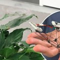 Pogledajte kako "Dron duh" gotovo nestaje pred očima: Naučnici objasnili kako radi