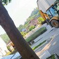 Мештани траже објашњење: Ко је одлучио да посече велико четинарско дрво испред школе у Грделици?