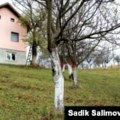 'U rupcu su ključ od kuće, srce i duša': Srebreničke majke u staračkom domu