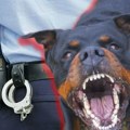 Opasan pas izašao iz dvorišta, napao drugu životinju, pa izujedao vlasnicu: Žena ima teške povrede lica