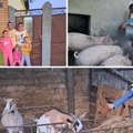 Ostavili Kanjižu i Nemačku da bi se skućili u ovom vojvođanskom selu! Petočlana porodica Laslo promenila život iz korena: Evo…