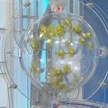 Izvučena 4 dobitnika Loto-a: Šestice vredele skoro pa milionče