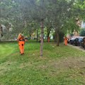 JKP „Mediana“ nastavlja radove: Čišćenje, košenje i orezivanje, evo na kojim lokacijama