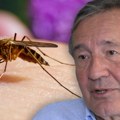 Virus Zapadnog Nila u Srbiji ima sigurno do 5.000 ljudi: Prof. Nožić otkrio kada je jača glavobolja znak za uzbunu i zašto ove…