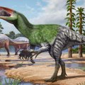 ‘Nepokorena ratnica’: Identifikovana nova vrsta dinosaurusa