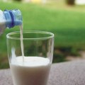 Do 10. novembra podnose se zahtevi za premije za mleko za treći kvartal