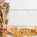 Evo kada se u Zemunu pali badnjak: Tradicionalno i ove godine uneće se simbol radosti u zdanje opštine