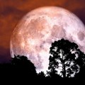Večeras obratite pažnju: Izlazak najmoćnijeg punog Meseca u boji jagode ovim znakovima menja život iz korena