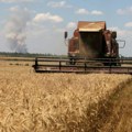 Ratari u Srpskoj zadovoljni cenom: Rod bolji nego prošlogodišnji i ide do šest tona hlebnog žita po hektaru