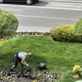 Briga o zelenim površinama i cvetnjacima u rukama vrednih radnica „Bioktoša“ (foto,video)