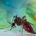 Akcije zatvaraju beogradske ulice: Suzbijanje komaraca kroz kanalizaciju