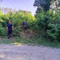 EDS u velikoj akciji pred zimu: Čiste se koridori dalekovoda da se osigura pouzdano snabdevanje strujom
