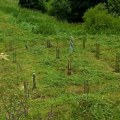 Koliko ari placa je potrebno za porodičnu kuću? Mnogi pri kupovini prave istu grešku, evo i koju