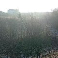 Požar u naselju Slavka Zlatanovića ugašen posle šest sati: Izgoreli voćnjaci, vatra stigla na desetak metara od kuća – VIDEO…