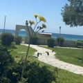 Neverovatne kuće se prodaju u Grčkoj za 25.000€: Odmah pored mora, sve u zelenilu! Jedna čak košta 18.000€, ali nećete ih naći…