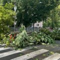 Olujno nevreme u Srbiji: U Novom Sadu vetar čupao drveće, u Beogradu pada jaka kiša /video/