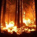 Loznica: Požara više nego lane