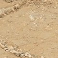 Indija: Pronađen redak fosil iz doba Jure