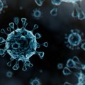 Virus gripa se modifikovao i ovog puta – napao ranije, najviše mlade i radno aktivne